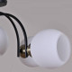 Потолочная люстра ILLUMICO IL0250-5CSQ-79 BK AB