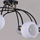 Потолочная люстра ILLUMICO IL0250-8CSQ-79 BK AB