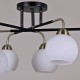 Потолочная люстра ILLUMICO IL0252-6CSQ-79 BK AB