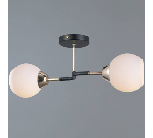 Светильник на штанге ILLUMICO LIBRA IL0689-2CSQ-24 BK FGD LIBRA