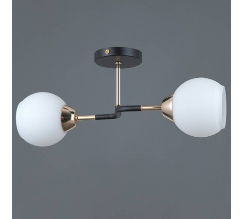 Светильник на штанге ILLUMICO LIBRA IL0689-2CSQ-24 BK FGD LIBRA