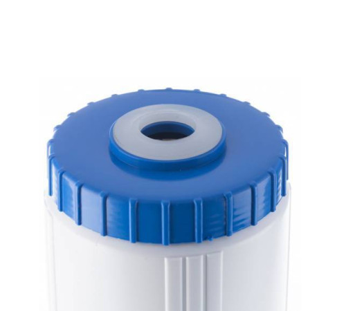 Картридж Гейзер WSFE - 10BB для удаления железа и солей жесткости 30637