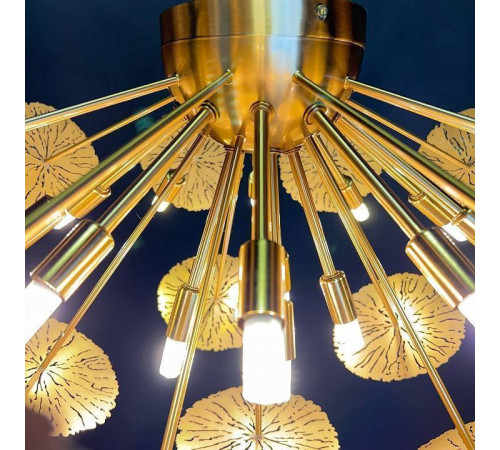 Потолочная люстра Imperiumloft Inca INCA-C01