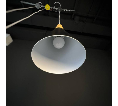 Подвесной светильник Imperiumloft Xd-A XD1