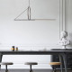 Подвесной светильник Imperiumloft Suspension Cercle Et Trait Graphite Satine 40.1282-0