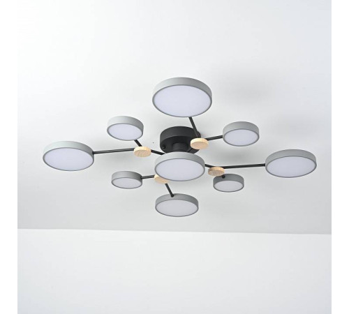 Потолочная люстра Imperiumloft GAMMA gamma01