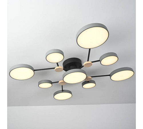 Потолочная люстра Imperiumloft GAMMA gamma01