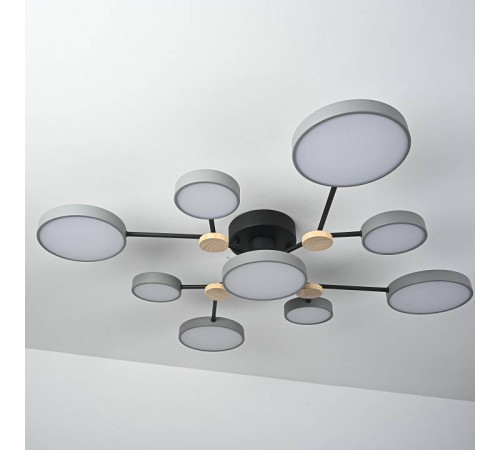 Потолочная люстра Imperiumloft GAMMA gamma01