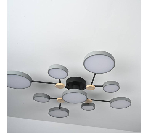 Потолочная люстра Imperiumloft GAMMA gamma01