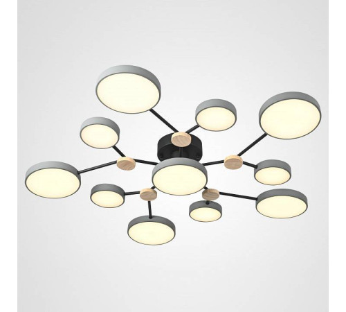 Потолочная люстра Imperiumloft GAMMA gamma01
