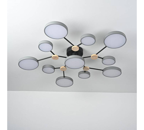 Потолочная люстра Imperiumloft GAMMA gamma01