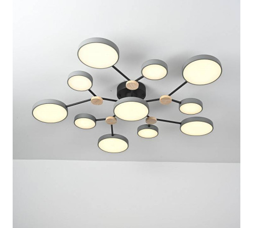 Потолочная люстра Imperiumloft GAMMA gamma01