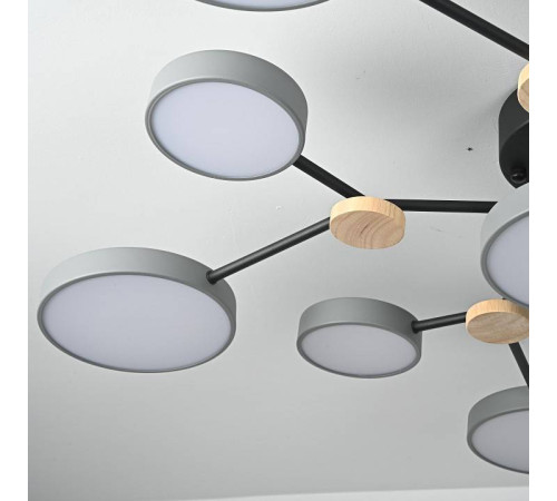 Потолочная люстра Imperiumloft GAMMA gamma01