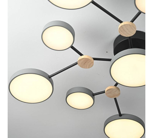 Потолочная люстра Imperiumloft GAMMA gamma01