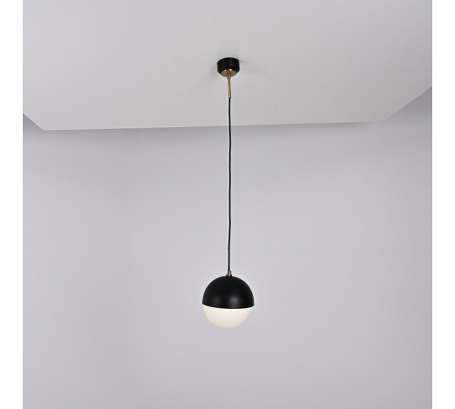 Подвесной светильник Imperiumloft Olve_B_01