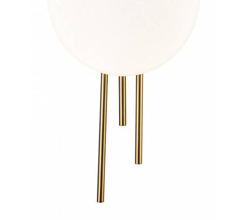 Накладной светильник Indigo Astro 14007/1W Brass