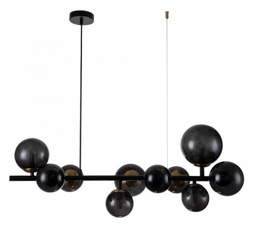 Подвесная люстра Indigo Molecola 11018/10P Black