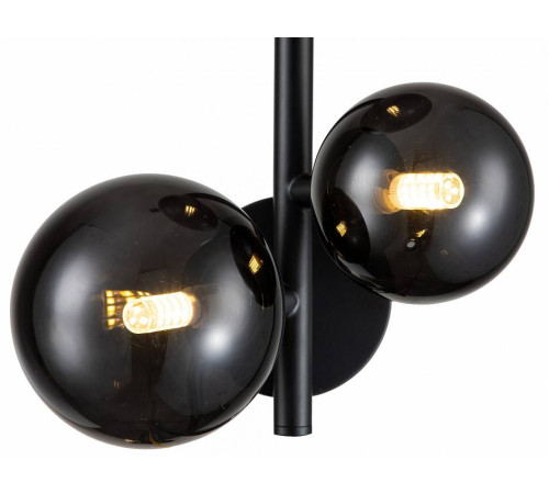 Бра Indigo Molecola 11018/3W Black