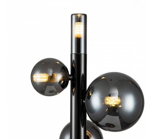 Настольная лампа декоративная Indigo Canto 11026/4T Black