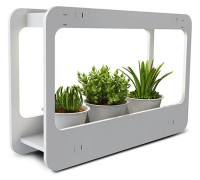 Светильник для растений Jazzway  PMG 002 LED 14w 4000K