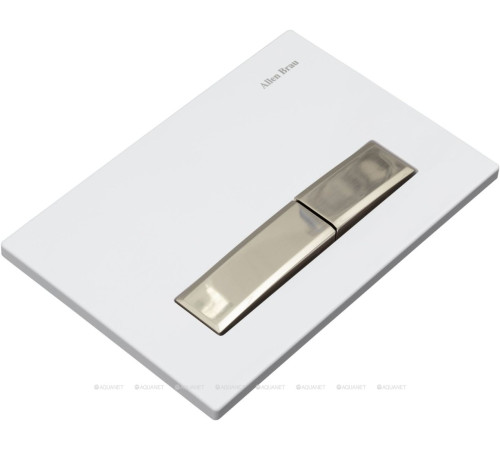 Кнопка смыва пневматическая Allen Brau Fantasy 2.0 ABS белый/никель браш 9.20004.20