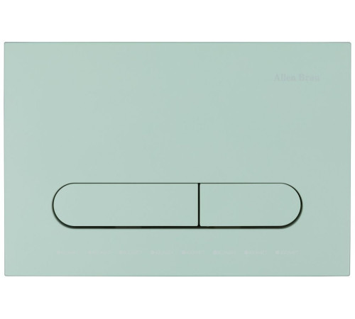 Кнопка смыва Allen Brau Project Color ABS 230x156 мм мятный 9.2PR01.MT
