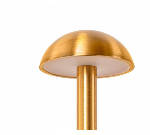 Настольная лампа декоративная Kink Light Дамари 07208-T,20