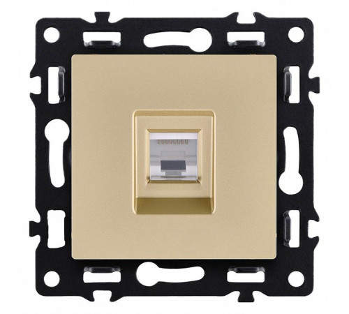 Розетка Ethernet RJ-45 без рамки Kollinger Asthetik AS-017GD