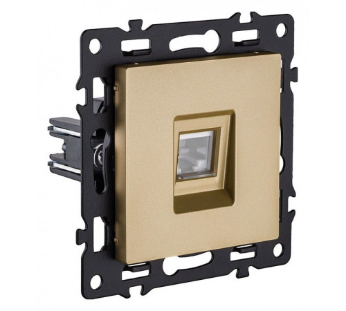 Розетка Ethernet RJ-45 без рамки Kollinger Asthetik AS-017GD