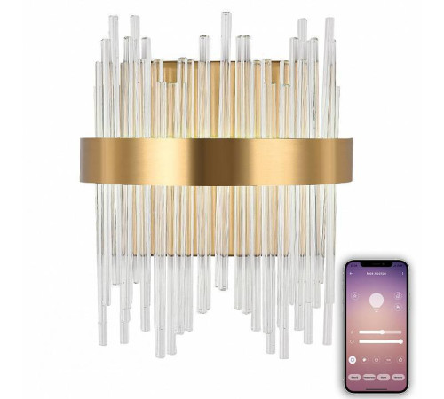 Накладной светильник Natali Kovaltseva LED LAMPS 81118 LED LAMPS 81118/1W