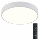 Накладной светильник Natali Kovaltseva LED LAMPS 81112/5C