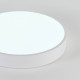 Накладной светильник Natali Kovaltseva LED LAMPS 81112/5C