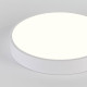 Накладной светильник Natali Kovaltseva LED LAMPS 81112/5C
