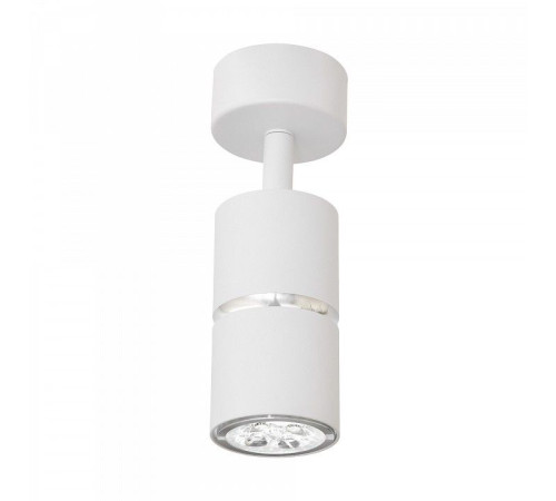 Спот Lampit ASTI TS TK40-C1 WT+CHR