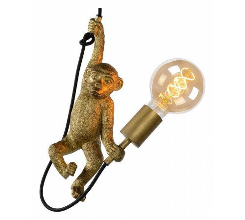 Подвесной светильник Lucide Extravaganza Chimp 10402/01/30