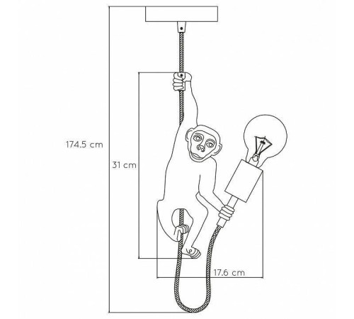 Подвесной светильник Lucide Extravaganza Chimp 10402/01/30