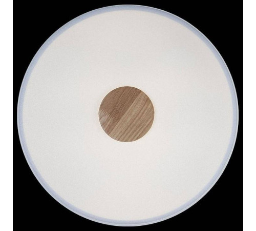 Накладной светильник Loft it Axel 2 10003/24 White