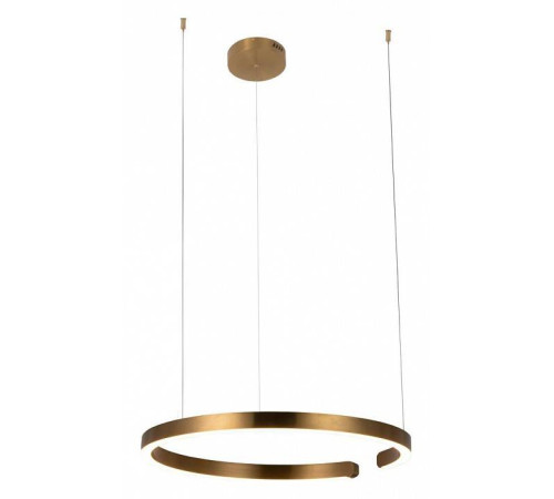 Подвесной светильник Loft it Ring 10013L