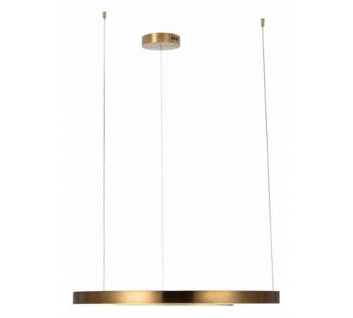 Подвесной светильник Loft it Ring 10013L