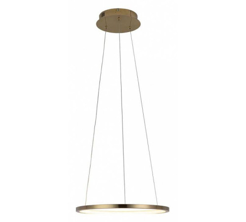 Подвесной светильник Loft It Ring 10014S