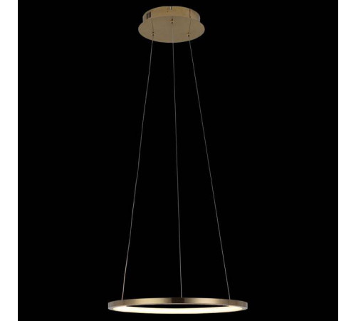 Подвесной светильник Loft It Ring 10014S