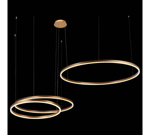 Подвесной светильник Loft it Ring 10017/3L