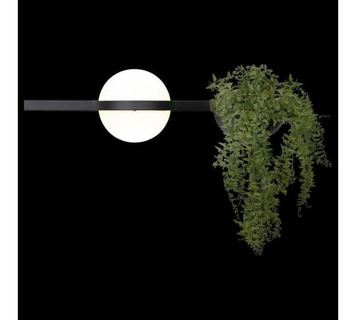 Бра Loft it Jardin 10121W/A