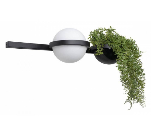 Бра Loft it Jardin 10121W/A