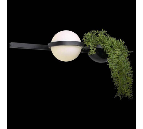 Бра Loft it Jardin 10121W/A