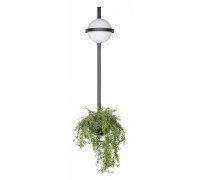 Бра Loft it Jardin 10121W/B