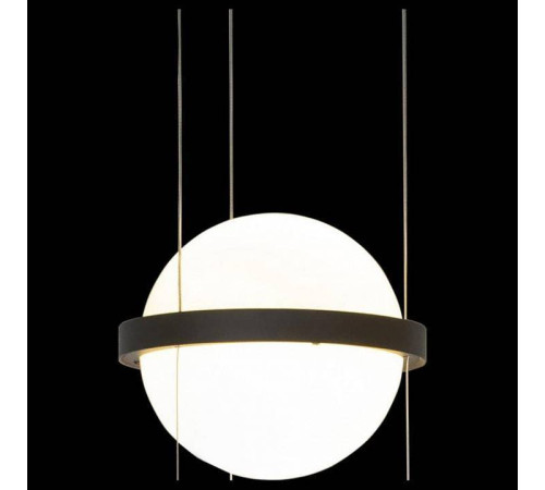 Подвесной светильник Loft it Jardin 10121/B