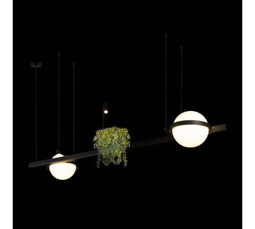 Подвесной светильник Loft it Jardin 10121/D