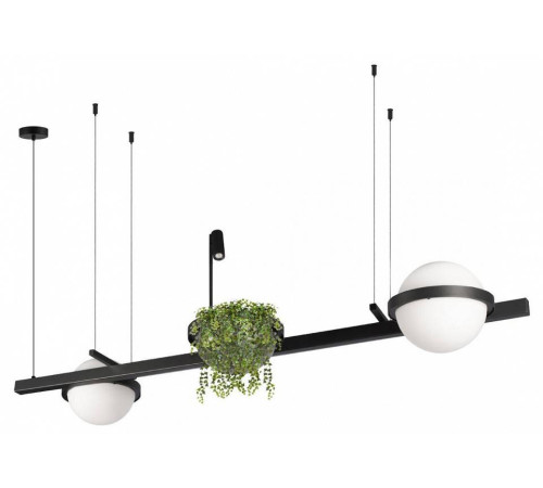 Подвесной светильник Loft it Jardin 10121/D