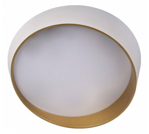 Накладной светильник Loft it Coin 10199 White